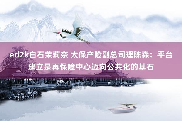 ed2k白石茉莉奈 太保产险副总司理陈森：平台建立是再保障中心迈向公共化的基石