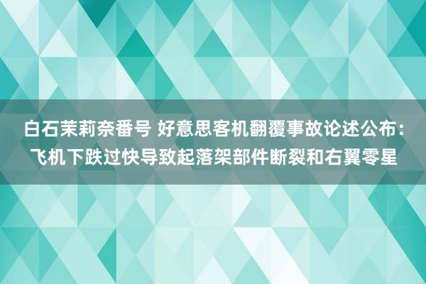 白石茉莉奈番号 好意思客机翻覆事故论述公布：飞机下跌过快导致起落架部件断裂和右翼零星