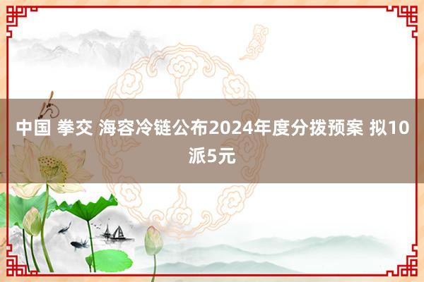 中国 拳交 海容冷链公布2024年度分拨预案 拟10派5元