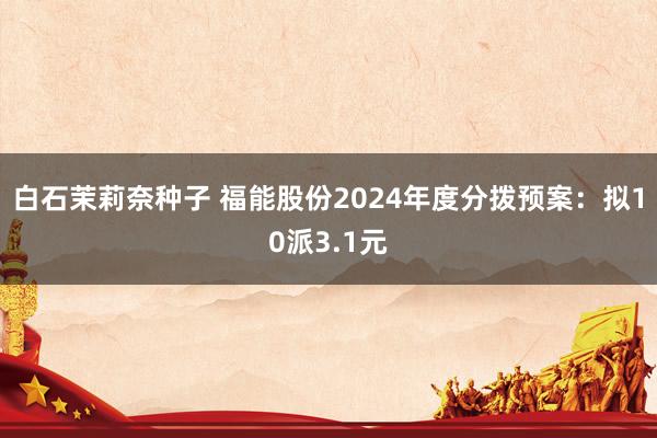 白石茉莉奈种子 福能股份2024年度分拨预案：拟10派3.1元