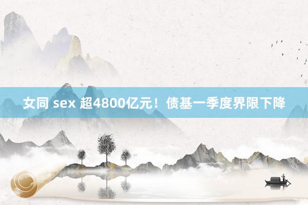 女同 sex 超4800亿元！债基一季度界限下降