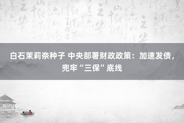白石茉莉奈种子 中央部署财政政策：加速发债，兜牢“三保”底线