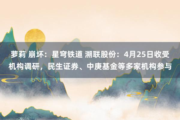 萝莉 崩坏：星穹铁道 溯联股份：4月25日收受机构调研，民生证券、中庚基金等多家机构参与