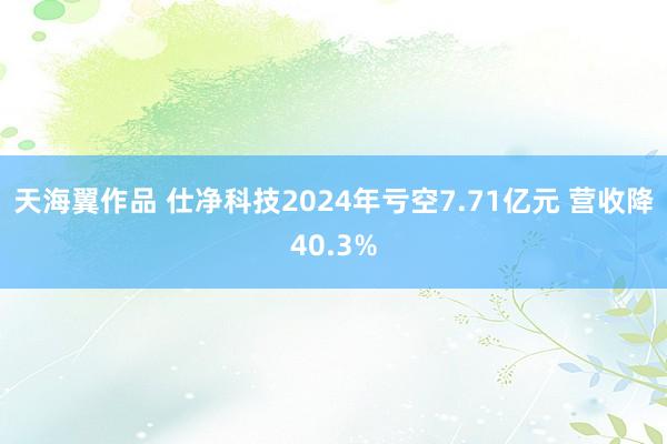天海翼作品 仕净科技2024年亏空7.71亿元 营收降40.3%