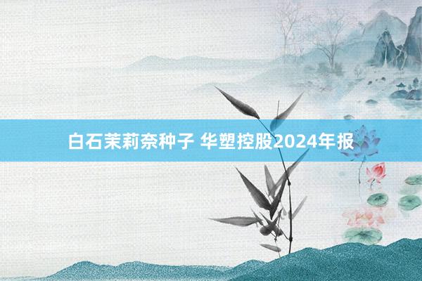 白石茉莉奈种子 华塑控股2024年报