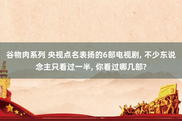 谷物肉系列 央视点名表扬的6部电视剧， 不少东说念主只看过一半， 你看过哪几部?