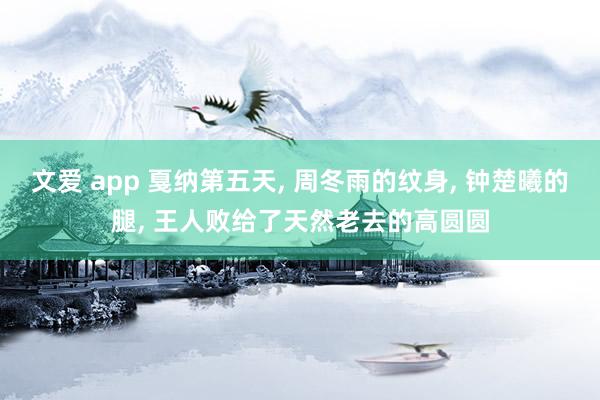 文爱 app 戛纳第五天， 周冬雨的纹身， 钟楚曦的腿， 王人败给了天然老去的高圆圆