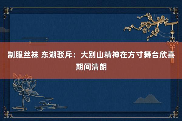 制服丝袜 东湖驳斥：大别山精神在方寸舞台欣喜期间清朗